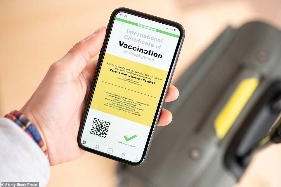 Theatres and stadiums are expected to pilot the controversial vaccine passport scheme being discussed (Photo: Twitter)