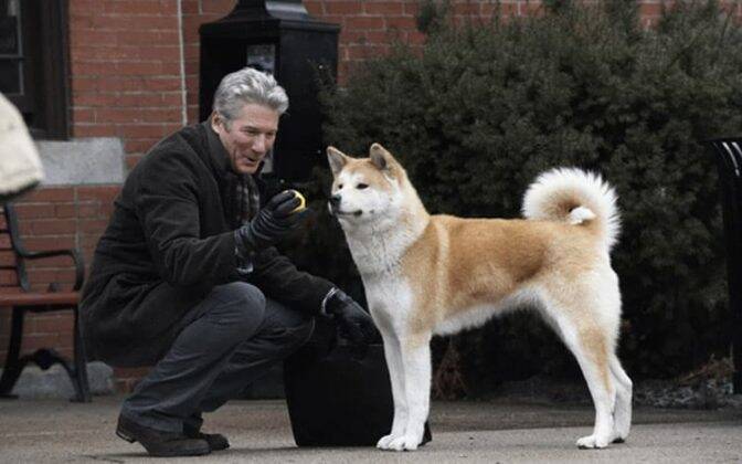 Hachi: A Dog's Tale (2009). A university professor finds an abandoned Akita puppy at a train station. At first, the man would leave the dog at home until he found a new owner for him, but time passed and the relationship between them only grew closer. The dog starts to accompany him daily to the station, where he patiently waits for his return. Available on Prime Video. (Photo: Stage 6 Films release)