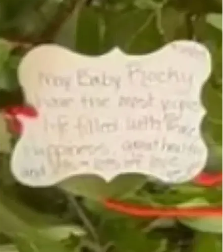 Some fans zoomed in on a few pictures from the tree, and were able to read one of the messages that may reveal the baby’s name.(Photo: Instagram)