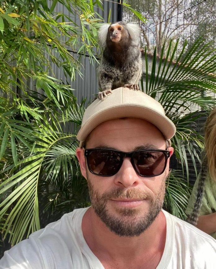 Chris Hemsworth revealed that he made some adjustments in his lifestyle after the discovery of a high risk of suffering from Alzheimer’s disease. (Photo: Instagram)