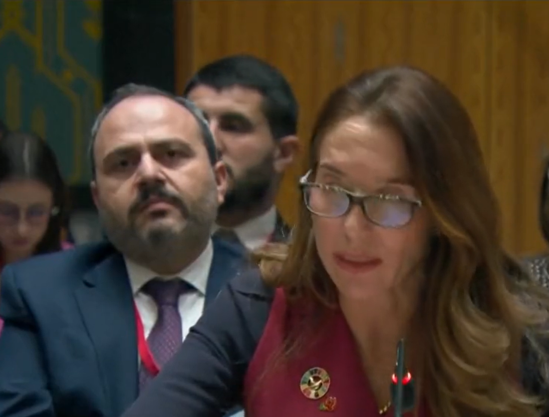 The proposal was presented by the delegation from Malta, a European country that currently holds a non-permanent seat on the council. (Photo:Twitter)