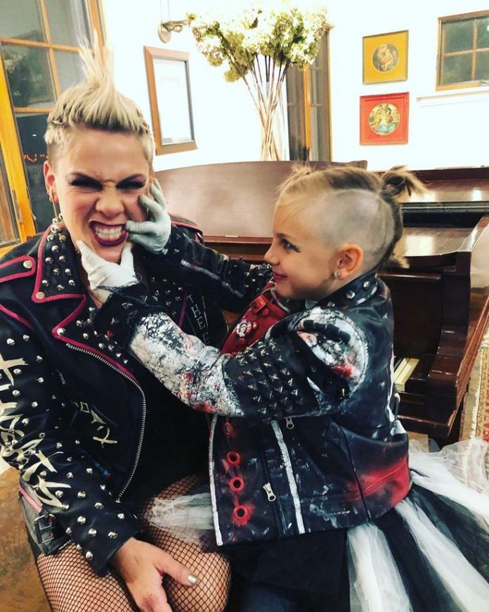 Pink responded to an Internet troll who called her 
